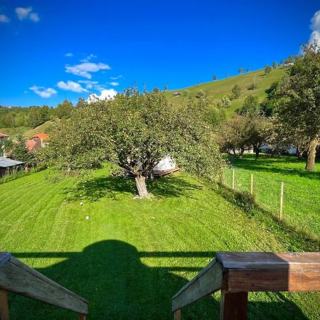Flore'S Garden Glamping Bran  Extérieur photo