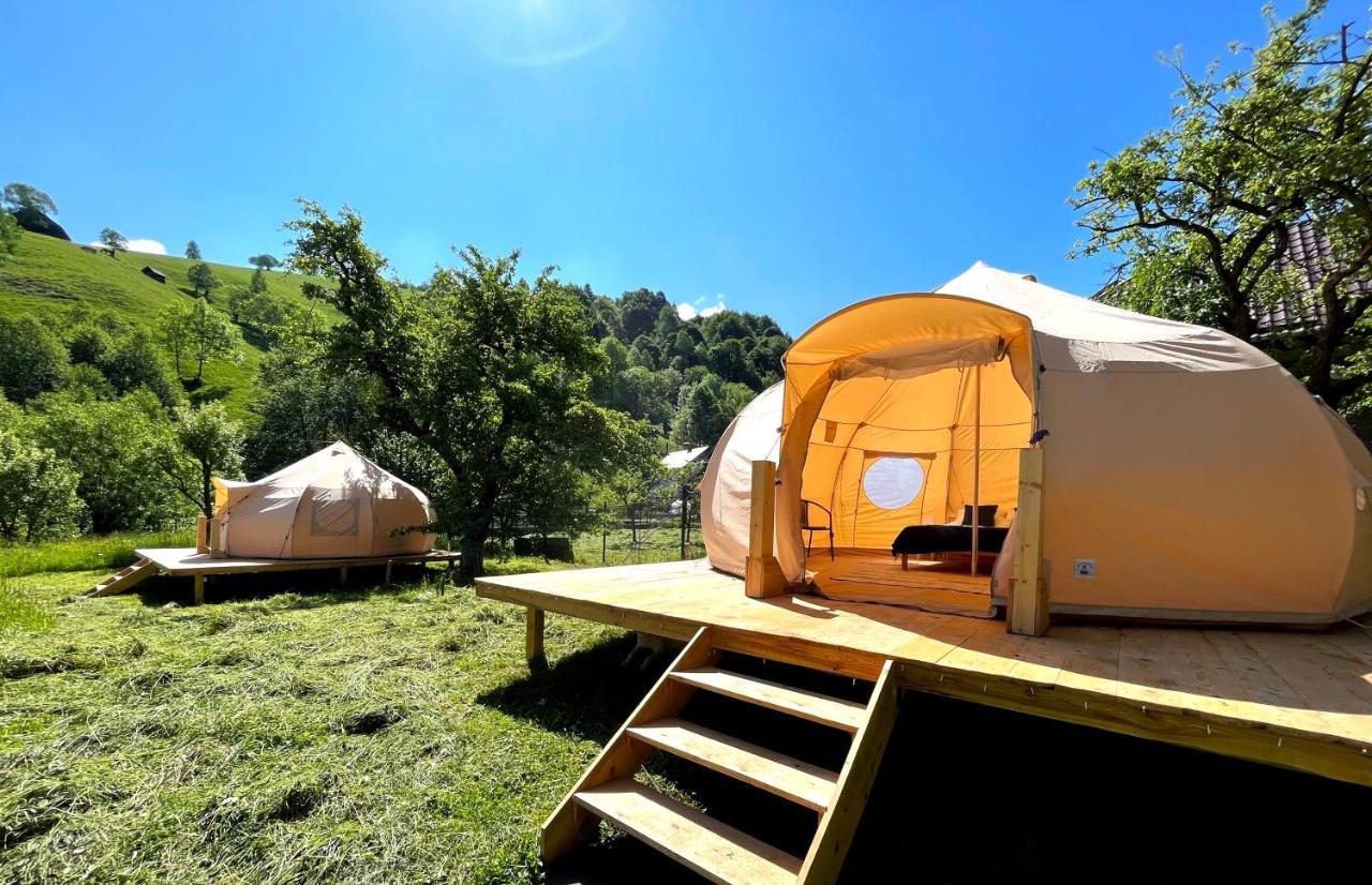 Flore'S Garden Glamping Bran  Extérieur photo