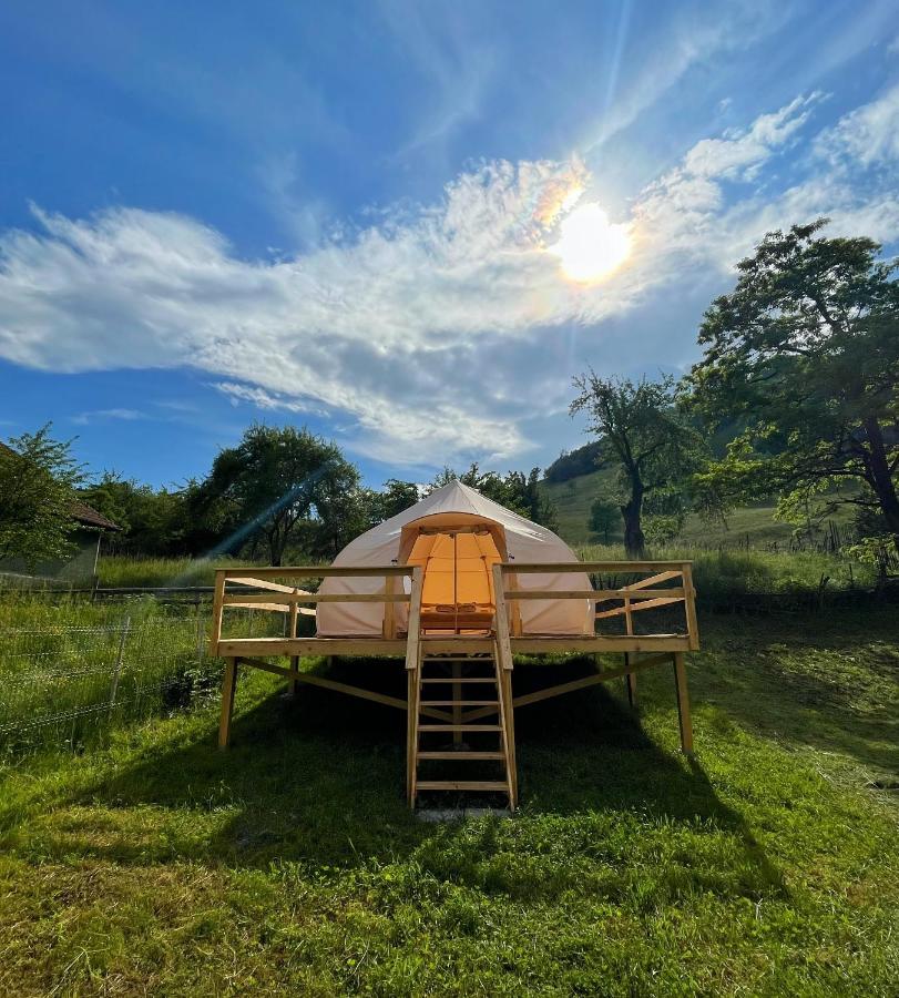 Flore'S Garden Glamping Bran  Extérieur photo