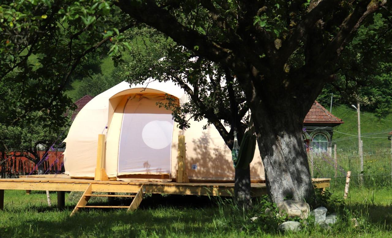 Flore'S Garden Glamping Bran  Extérieur photo