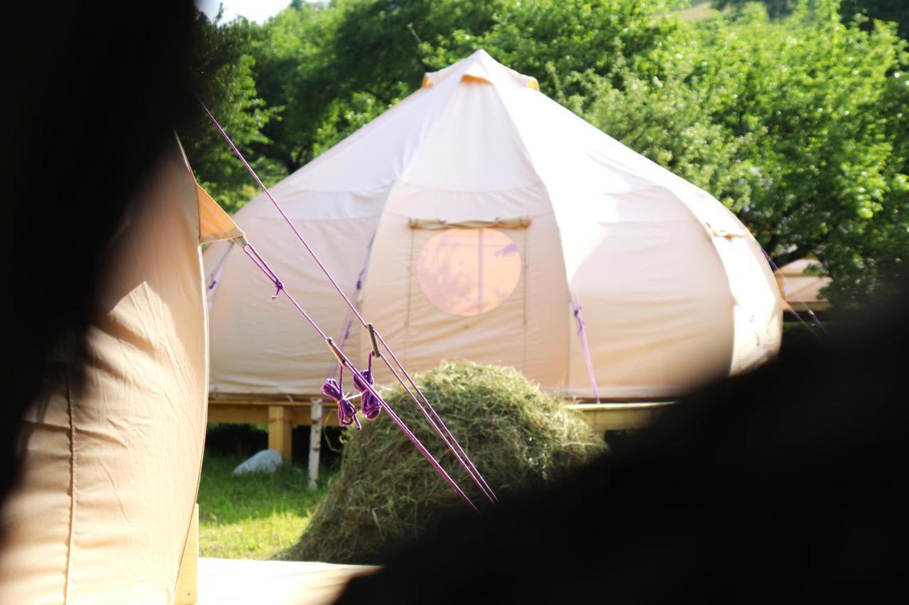 Flore'S Garden Glamping Bran  Extérieur photo