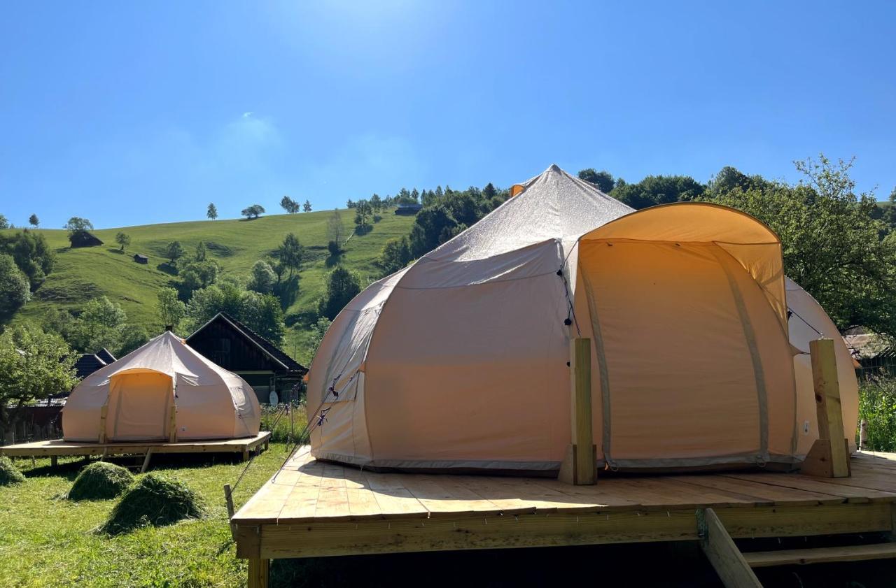 Flore'S Garden Glamping Bran  Extérieur photo