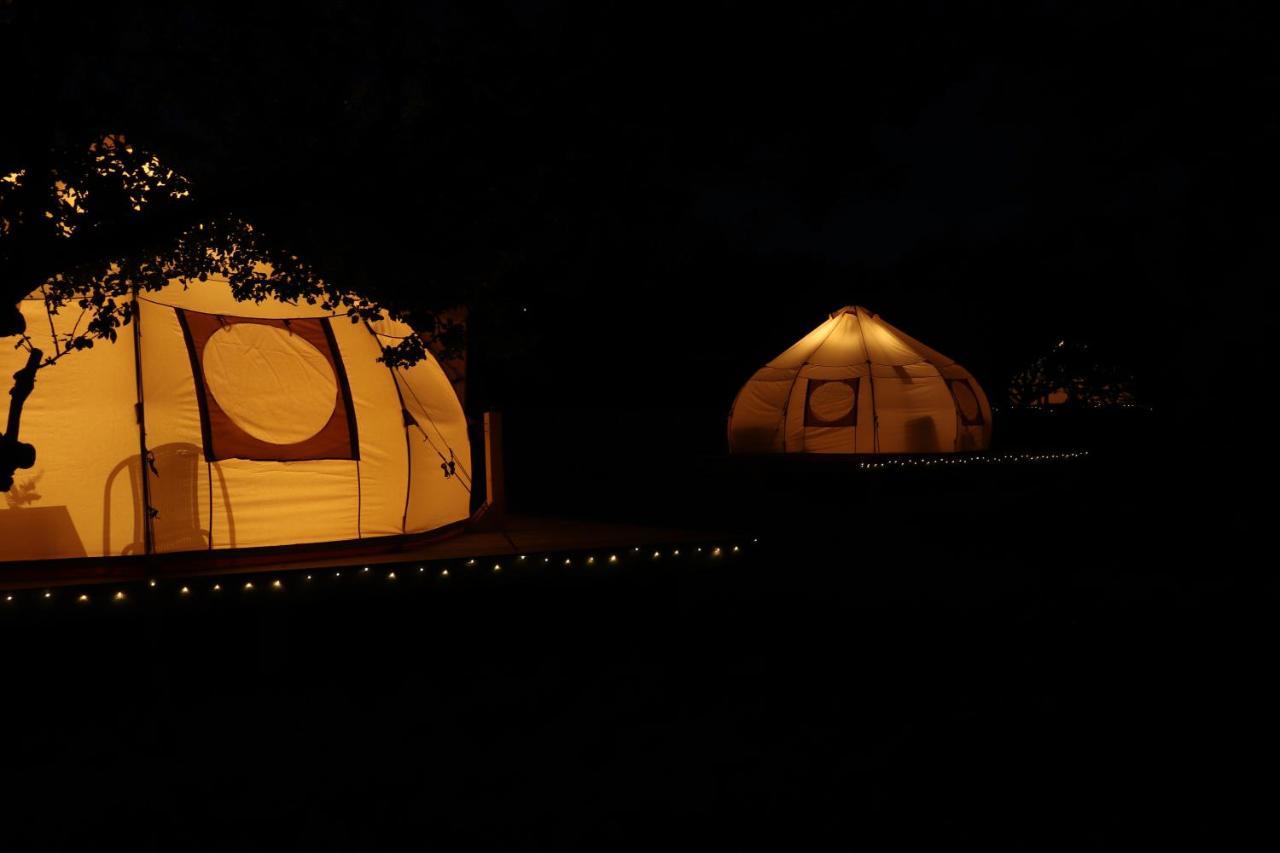 Flore'S Garden Glamping Bran  Extérieur photo