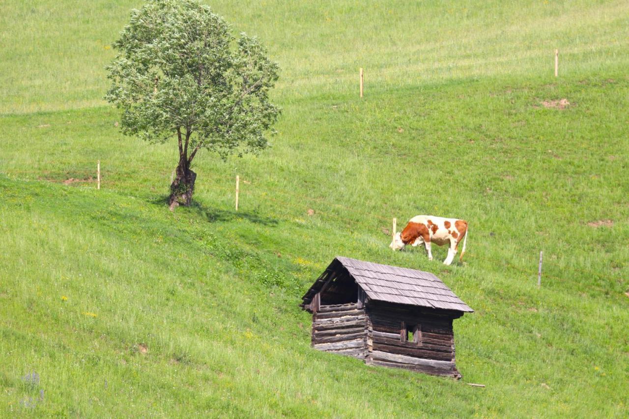 Flore'S Garden Glamping Bran  Extérieur photo