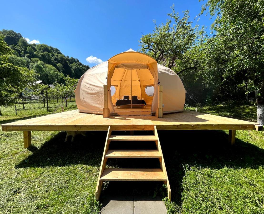 Flore'S Garden Glamping Bran  Extérieur photo