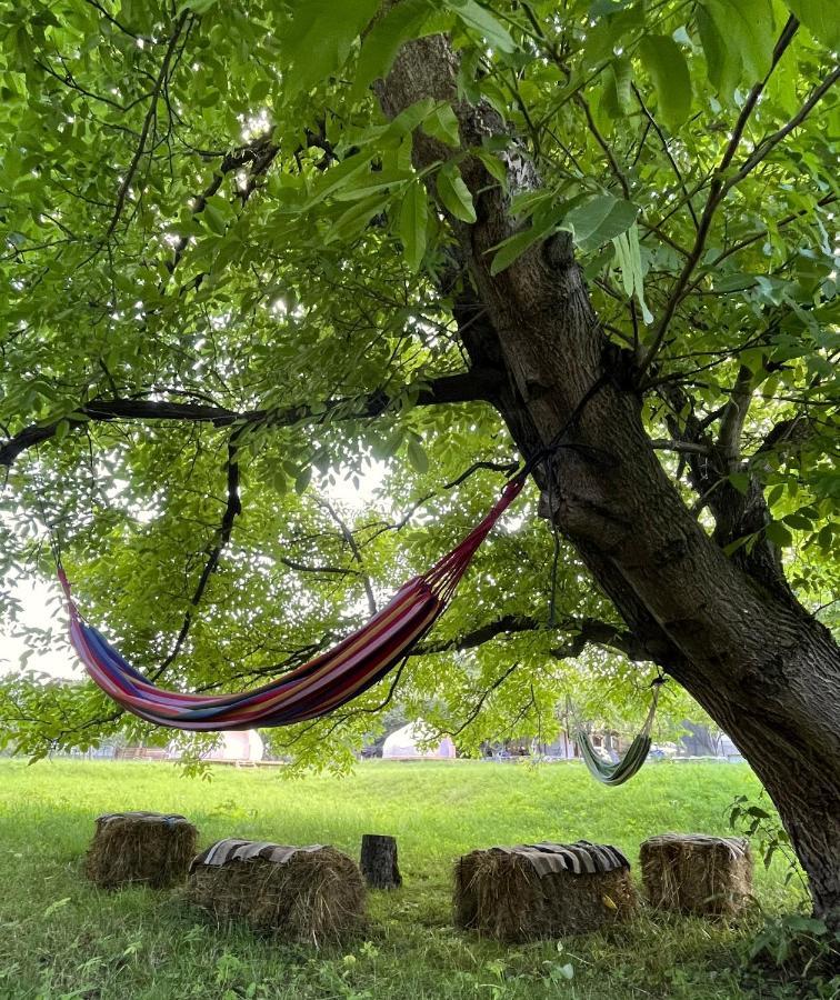 Flore'S Garden Glamping Bran  Extérieur photo