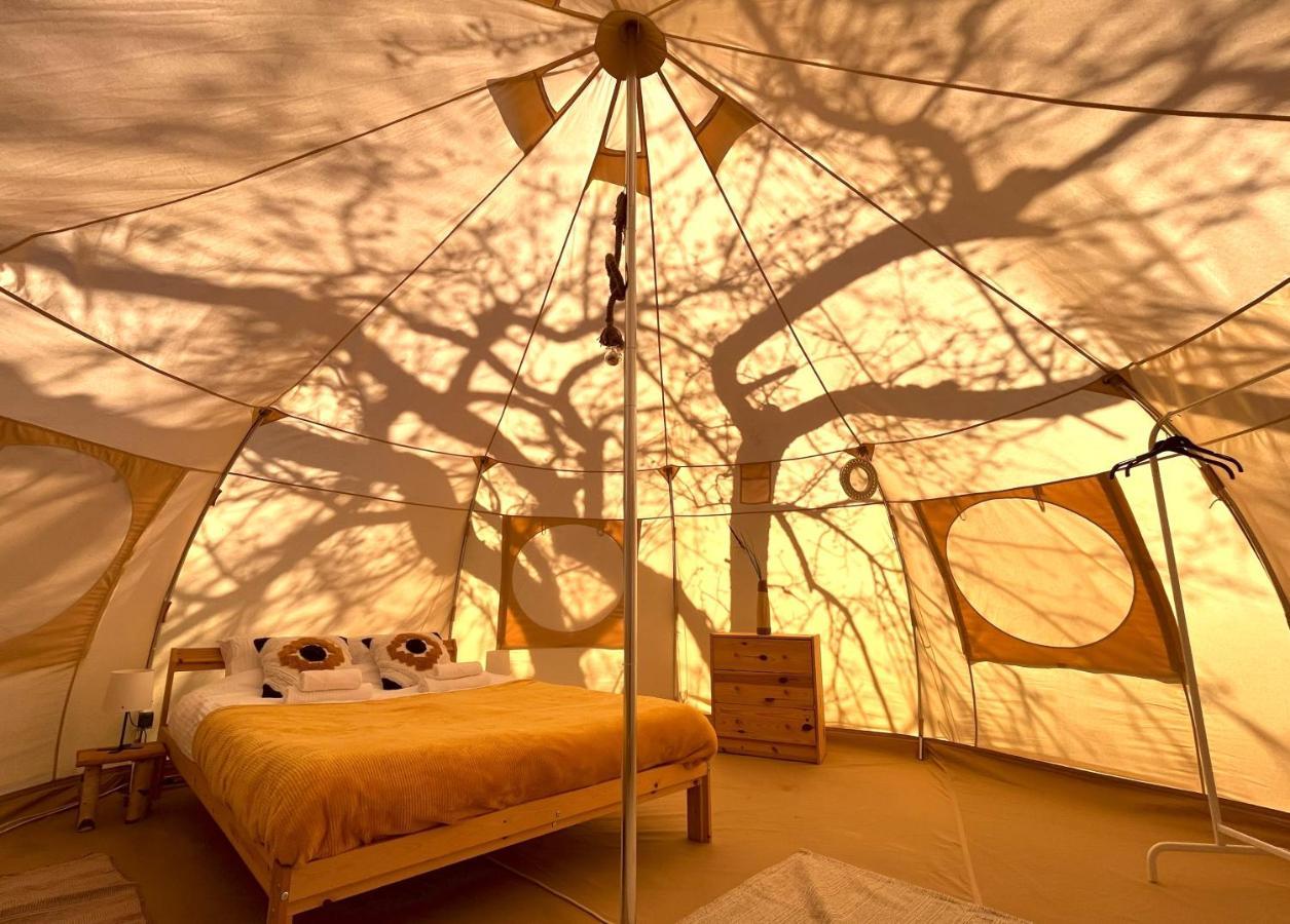 Flore'S Garden Glamping Bran  Extérieur photo
