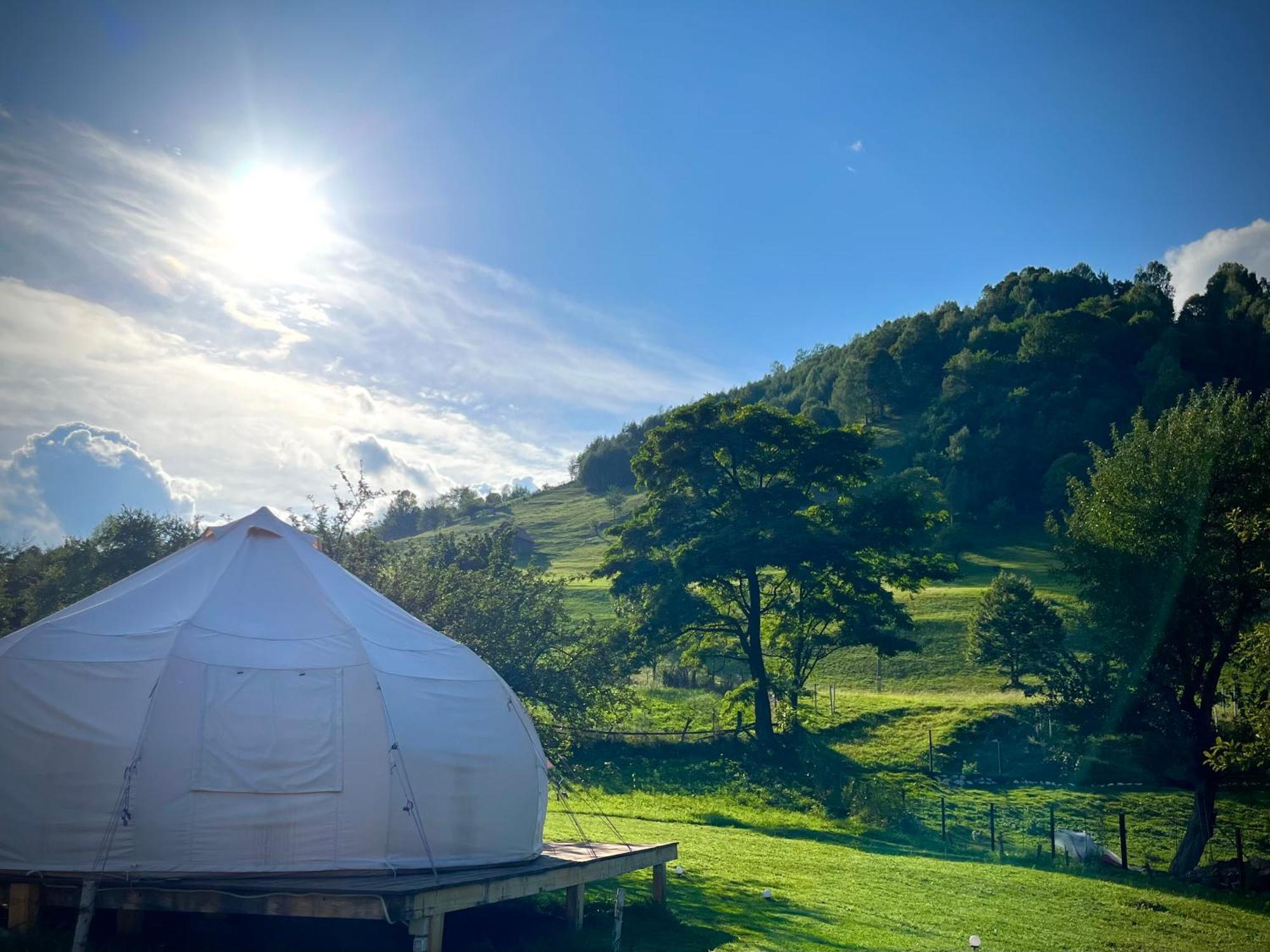 Flore'S Garden Glamping Bran  Extérieur photo