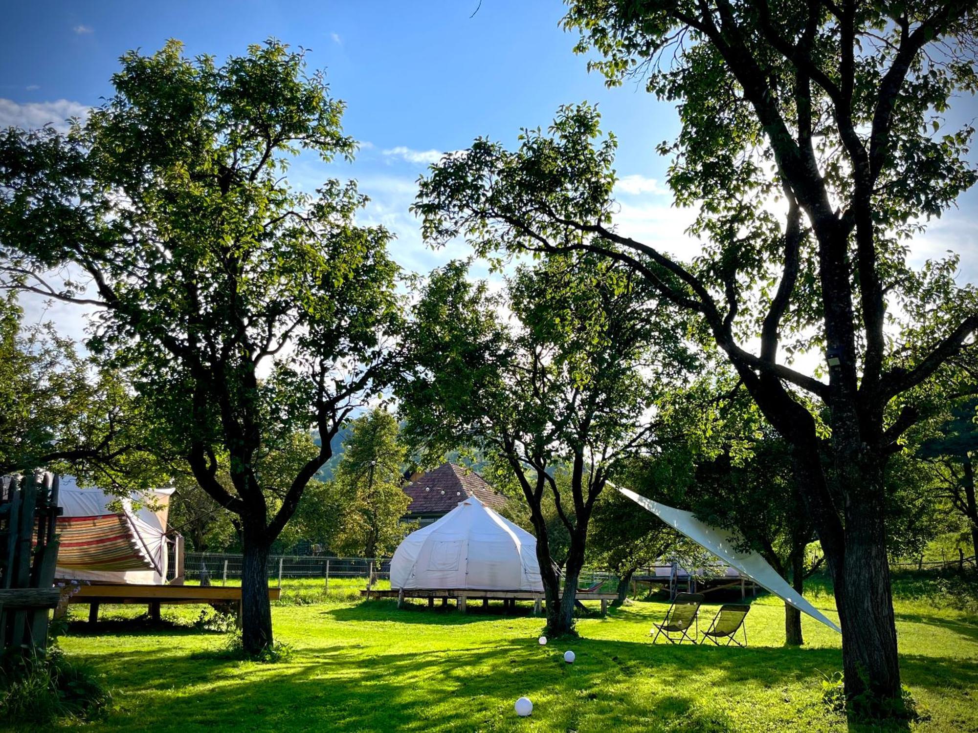 Flore'S Garden Glamping Bran  Extérieur photo